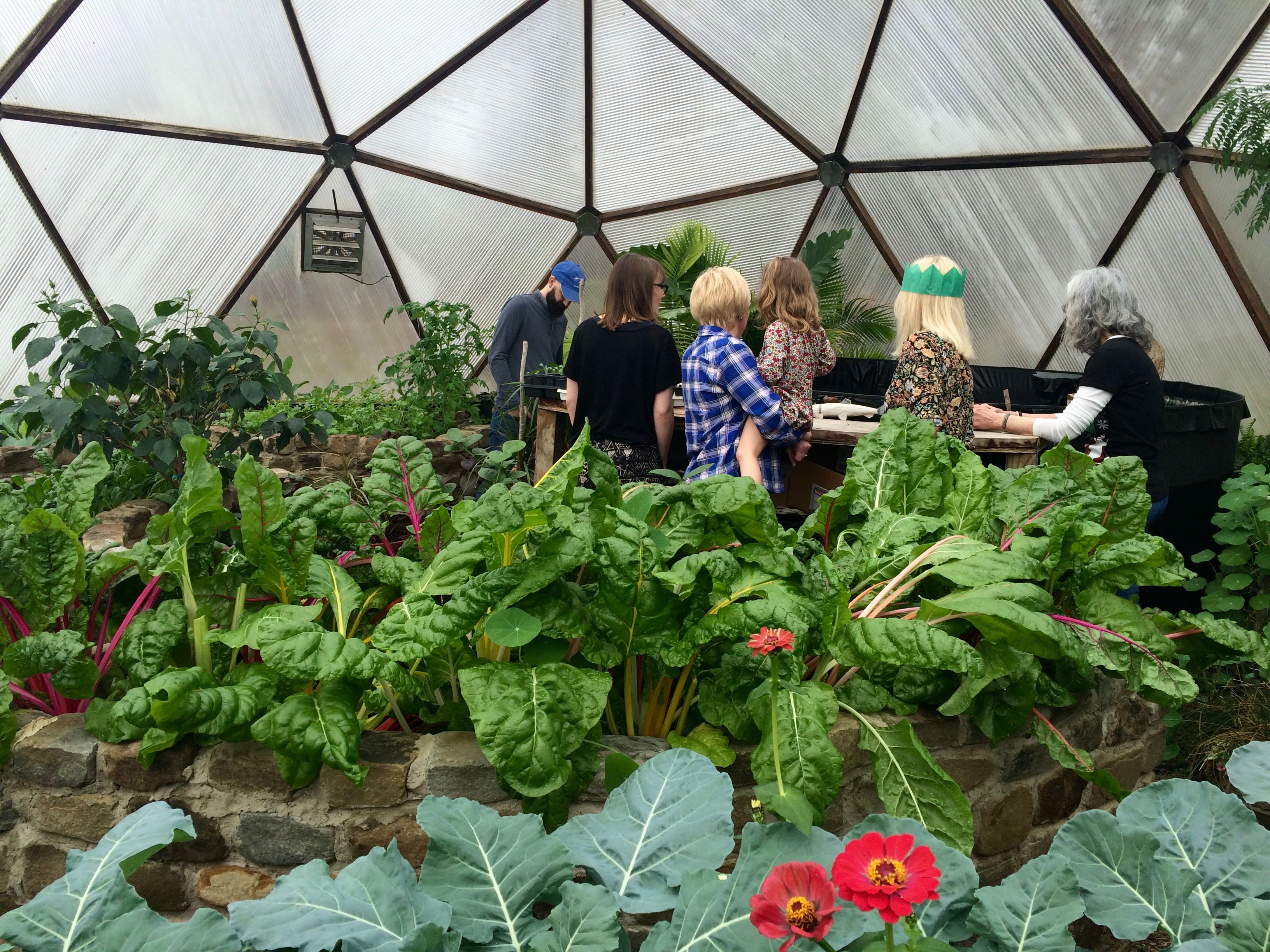 friends visiting the dome