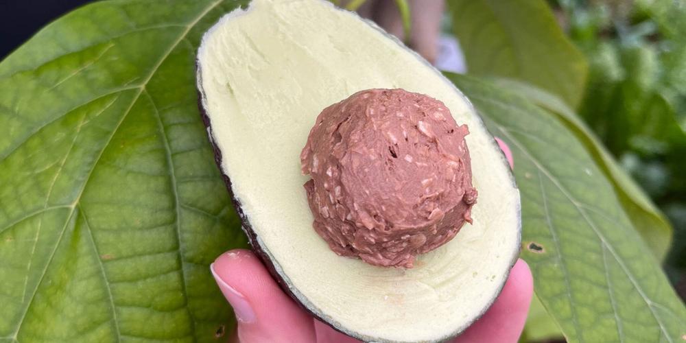 Avocado Ice Cream