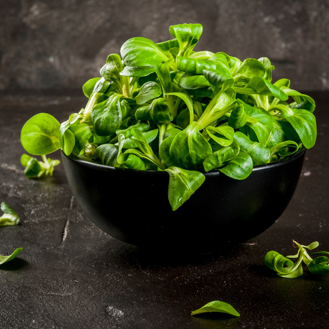bright green mâche greens piled high in a black bowl on a dark stone countertop