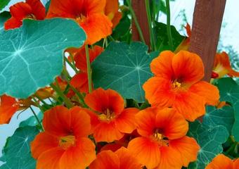 IMG_20210521_080855345_HDR