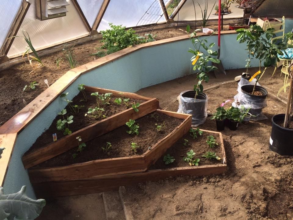 a traditional perimeter raised bed inside the greenhouse with three terraced beds coming off of a portion of it with newly planted plants