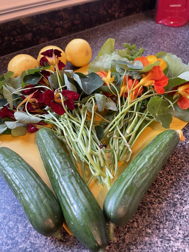 Shrimp and Nasturtium Salad Ingredients: Fresh Dome Grown Nasturtium, Cucumbers, and Parsley