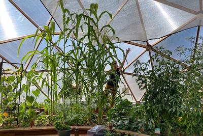 2022 Growing Spaces Articles Archive image