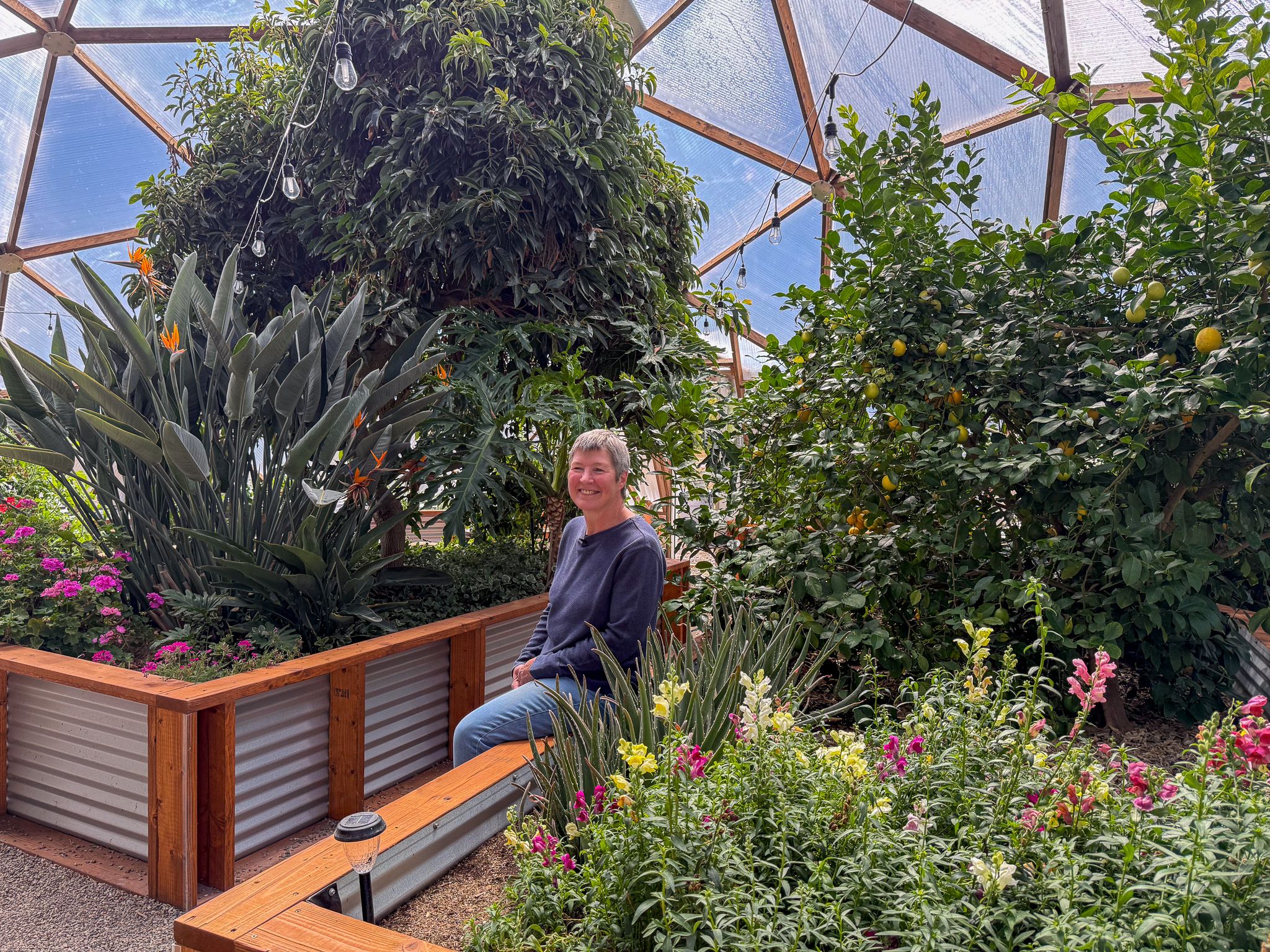 A woman sitting on the edge of a garden bed surrounded by lush greenery in her geodesic dome greenhouse