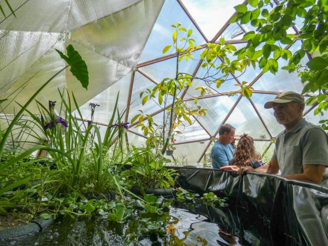 inside a growing dome greenhouse a man is looking at the above-ground pond and two people are talking in the background