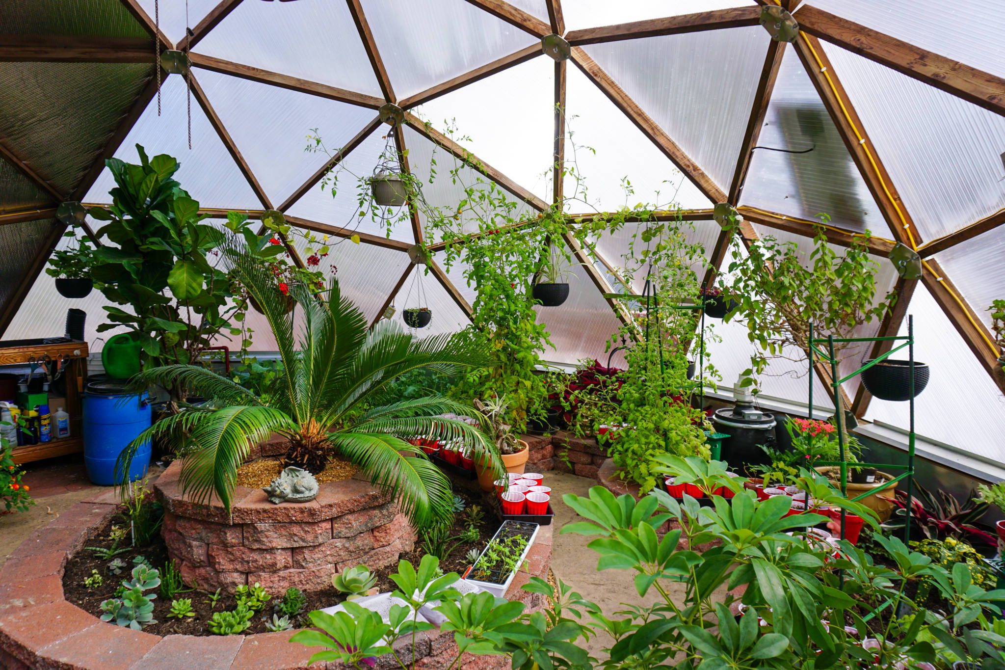 Lush interior of a Growing Dome greenhouse in southern Illinois