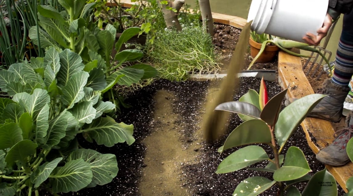 applying soil amendments to a greenhouse garden