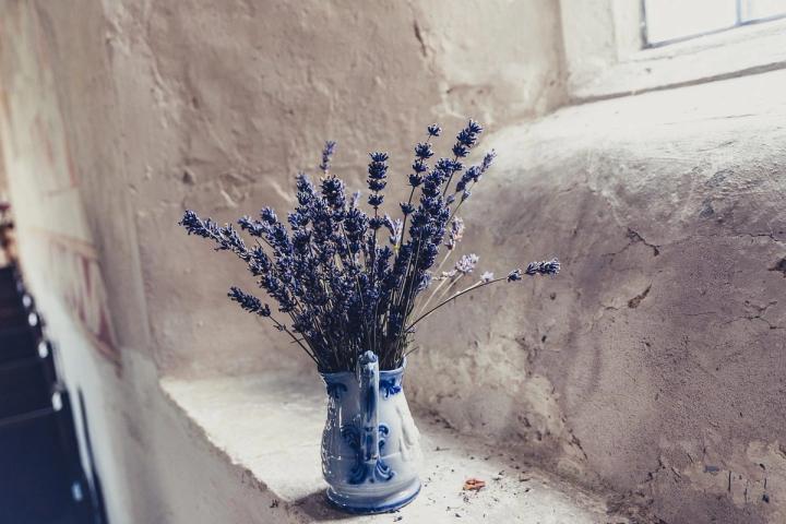 pitcher of lavender flowers  on a windowsill Pixabay