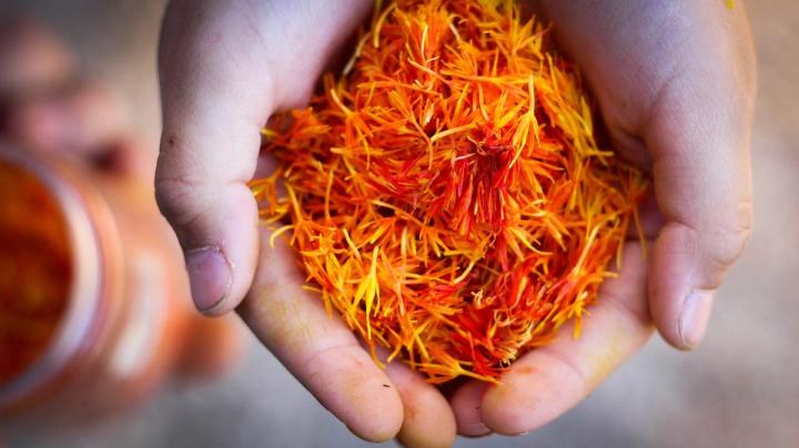 person holding harvested saffron stigmas in their hands Pixabay photo