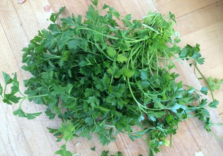 Garden Herbs for Flu - parsley
