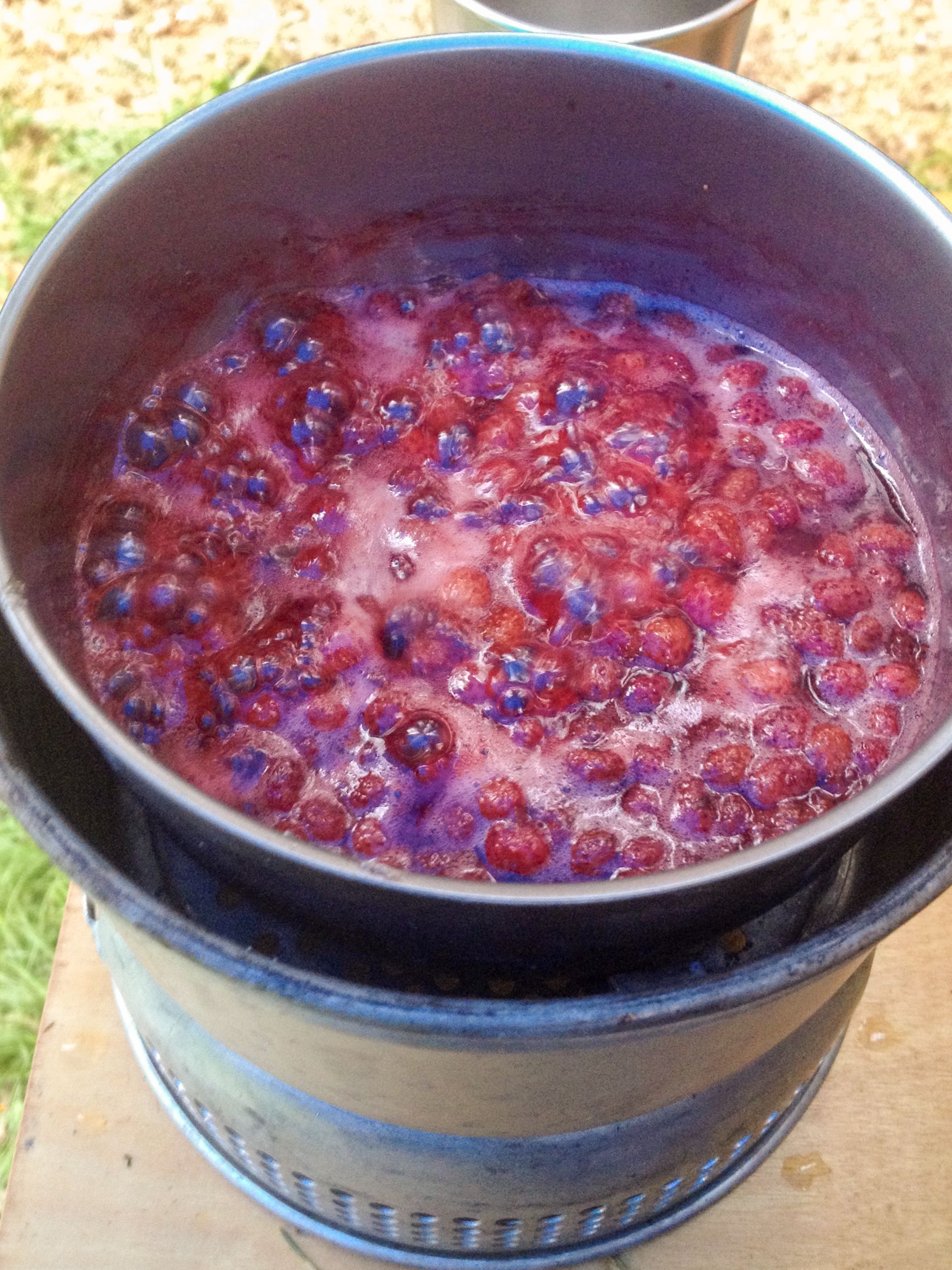 boiling wild strawberries turning it into a quick jam