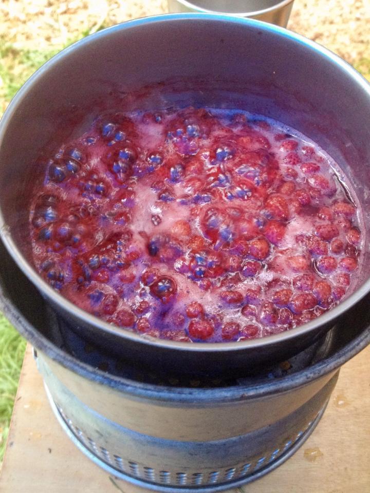 boiling wild strawberries turning it into a quick jam
