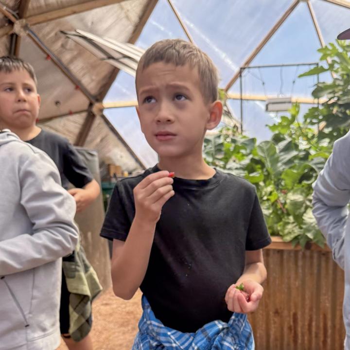Young man tasting a fresh beet root with an inquisitive look on his face.