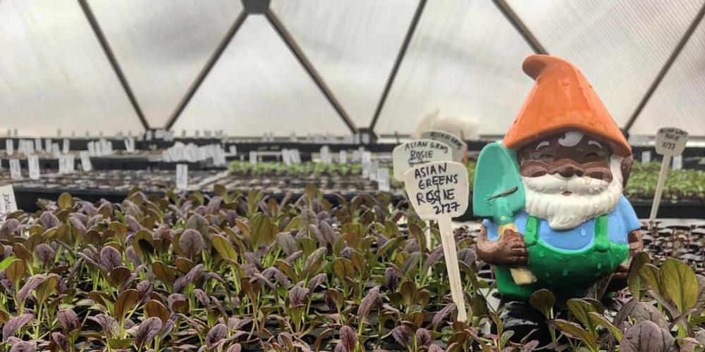Growing Domes In The News, Spring 2020 image