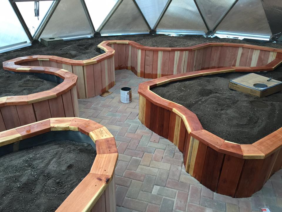 vertical redwood curved raised beds with dark rich soil insdie the greenhouse with a brick floor