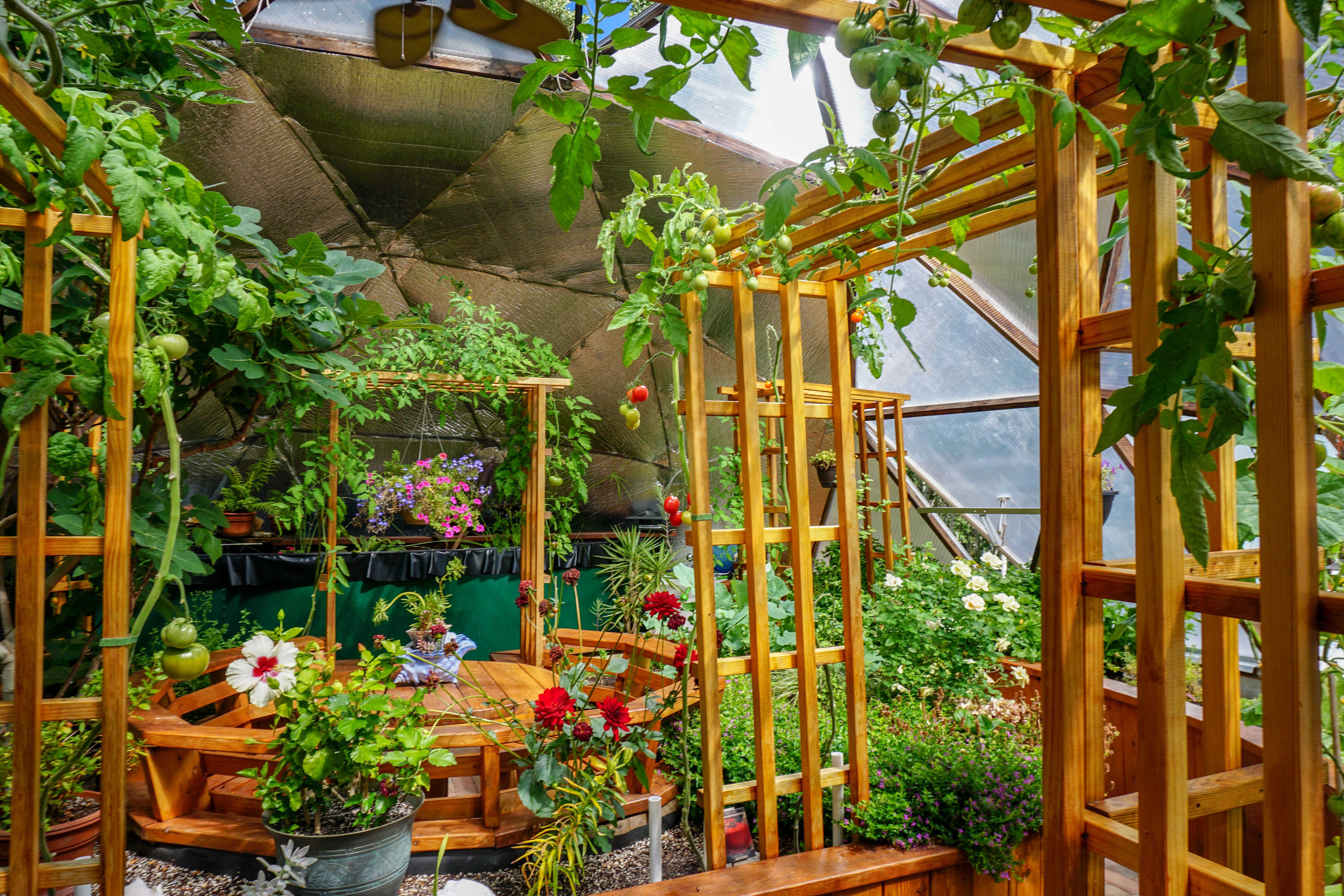Interior of a Growing Dome geodesic dome greenhouse with multiple trellises and a central seating area with a wooden table and bench