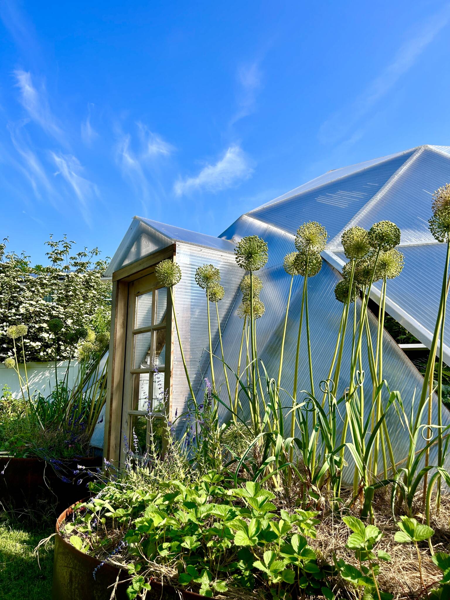 Growing Dome surrounded by edible garden beds on a suburban property in Medford, Massachusetts