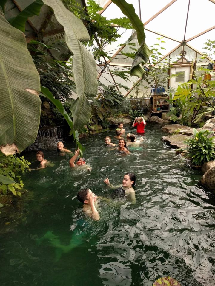 swimming in tropical greenhouse pond