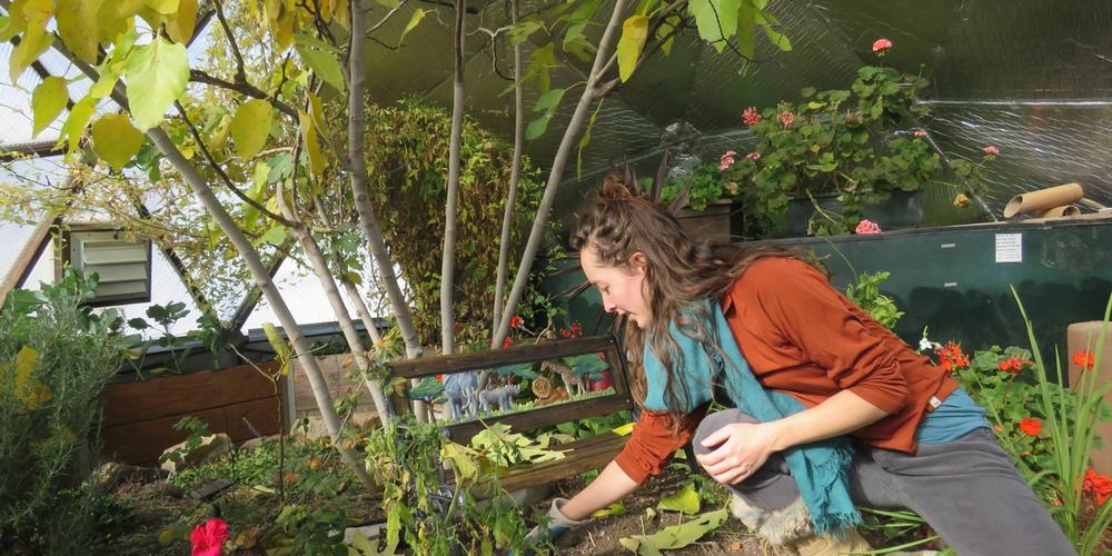 Sustaining Mental Wellness In Your Growing Dome® Greenhouse image