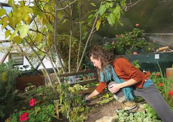 Sustaining Mental Wellness In Your Growing Dome® Greenhouse image