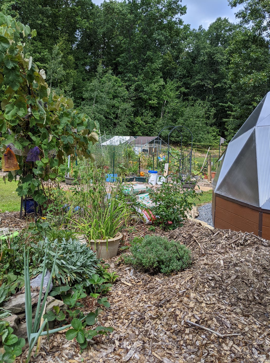 Garden beds surrounding a Growing Dome on a wooded New Hampshire property