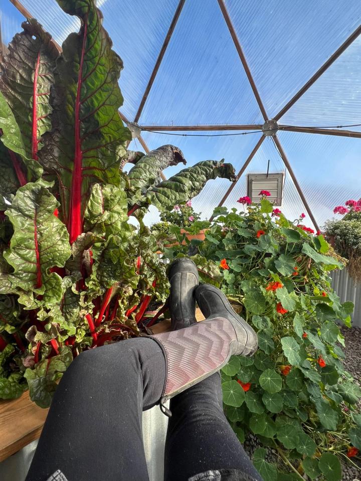 taking a moment to enjoy the greenhouse