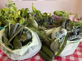 various produce packaged into individual bags for food bank donation