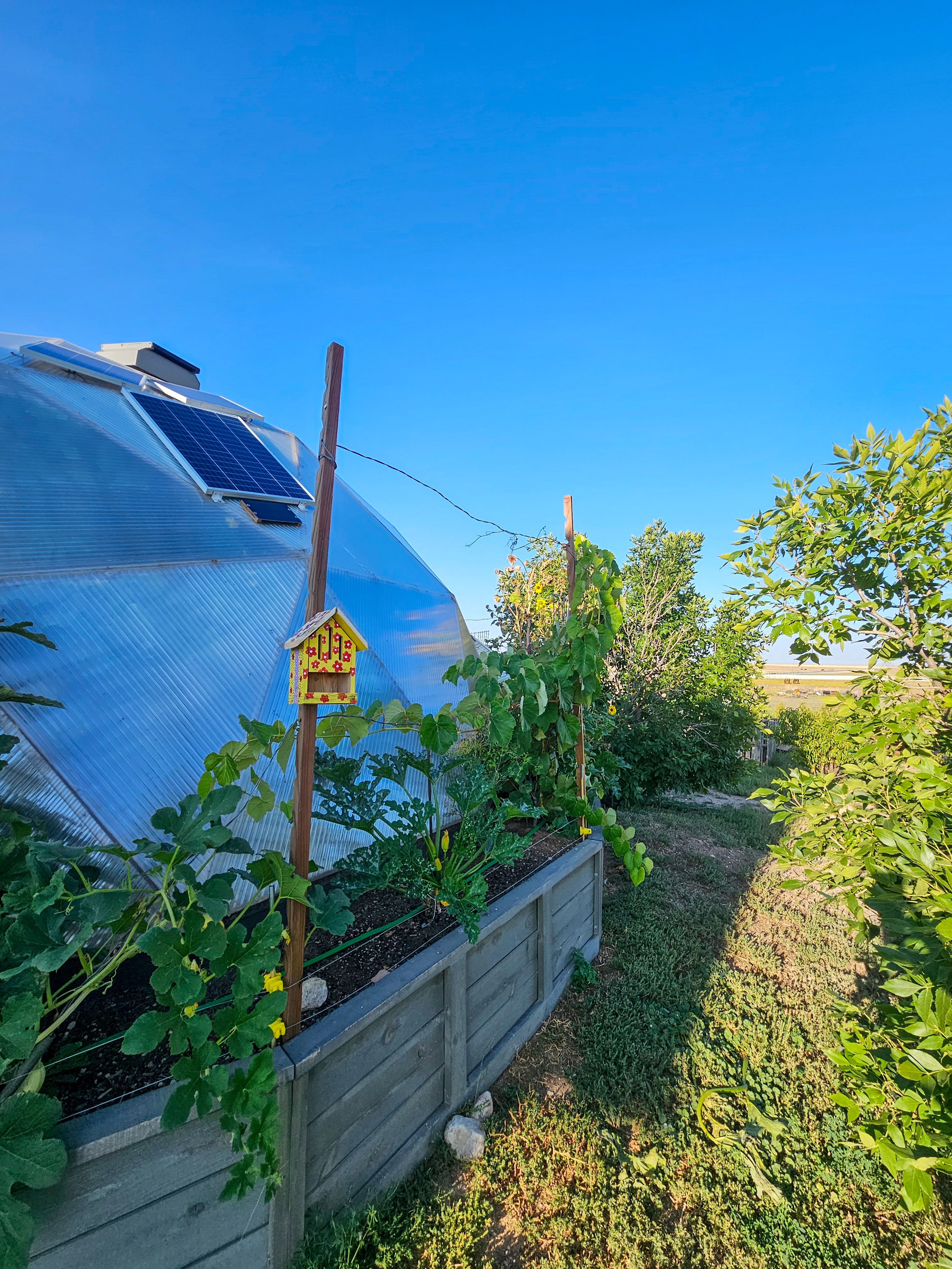 outside 26 foot growing dome greenhouse in colorado raised beds and a yellow and red birdhouse