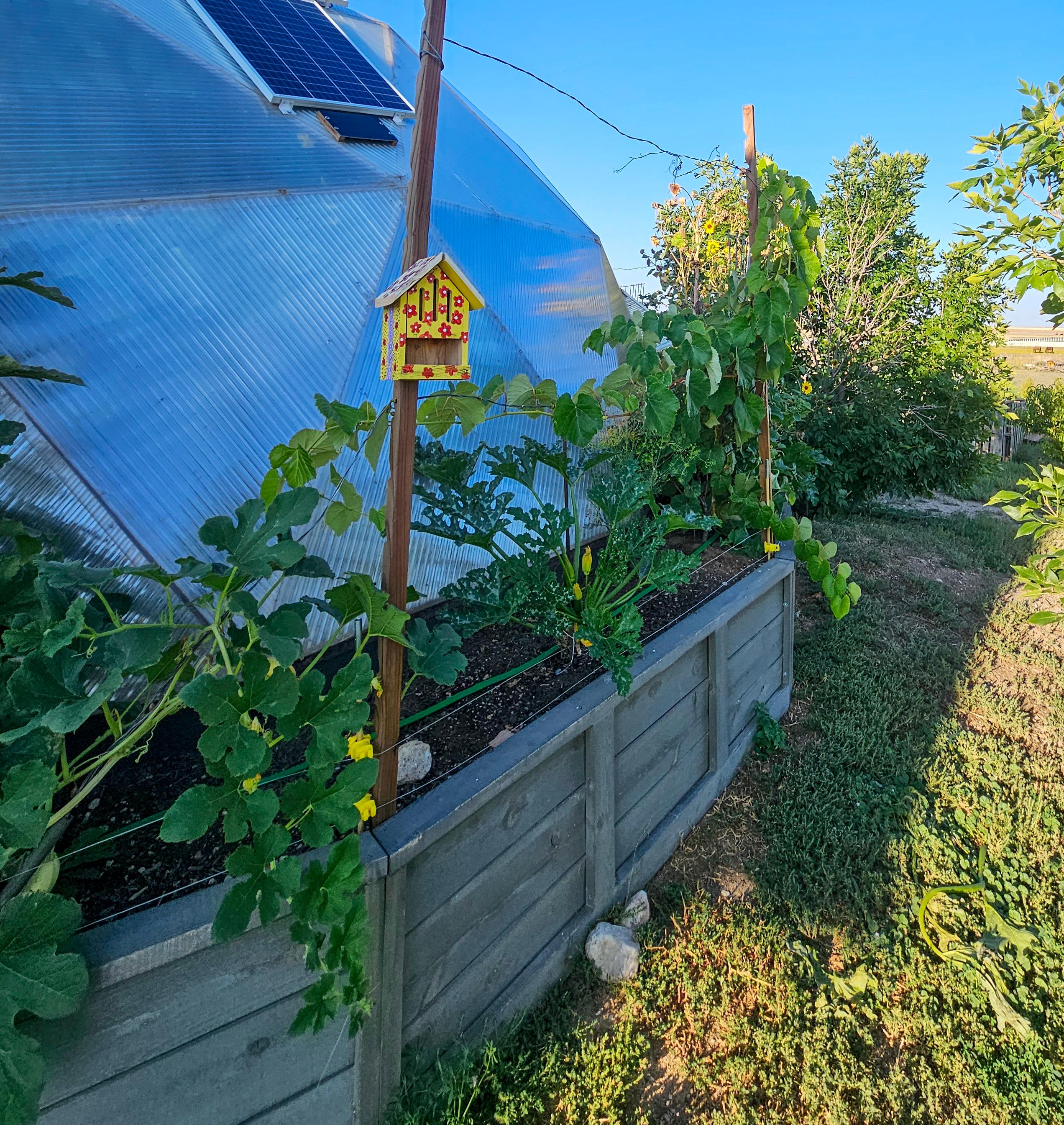 Exterior of Janet and Chris Probst's 26-foot Growing Dome in Nunn, Colorado, beside raised garden beds and a birdhouse