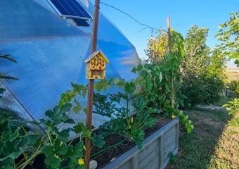 outside 26 foot growing dome greenhouse in colorado raised beds and a yellow and red birdhouse
