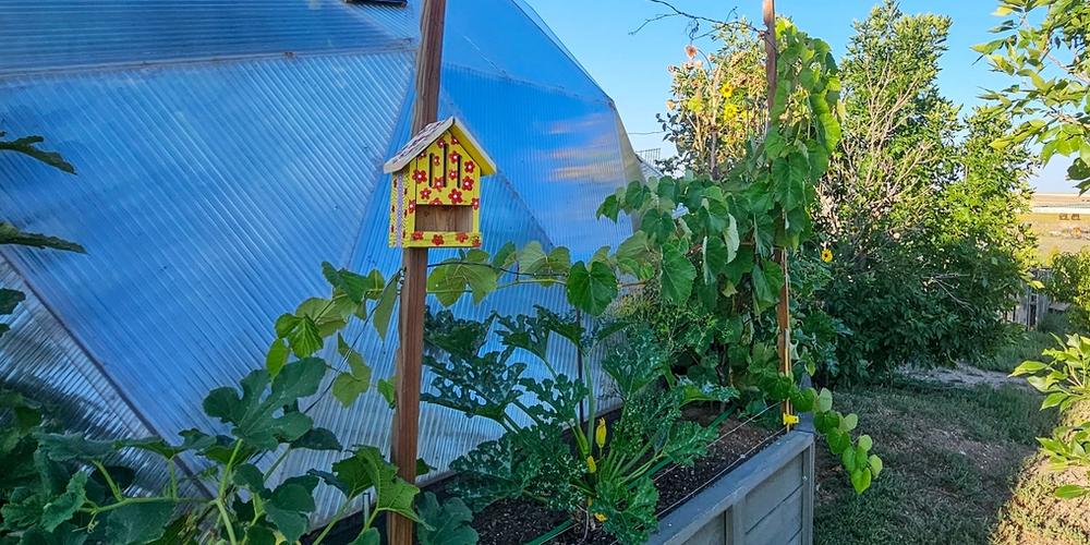 outside 26 foot growing dome greenhouse in colorado raised beds and a yellow and red birdhouse
