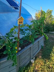 outside 26 foot growing dome greenhouse in colorado raised beds and a yellow and red birdhouse