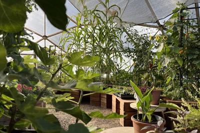 Iowa Greenhouses image