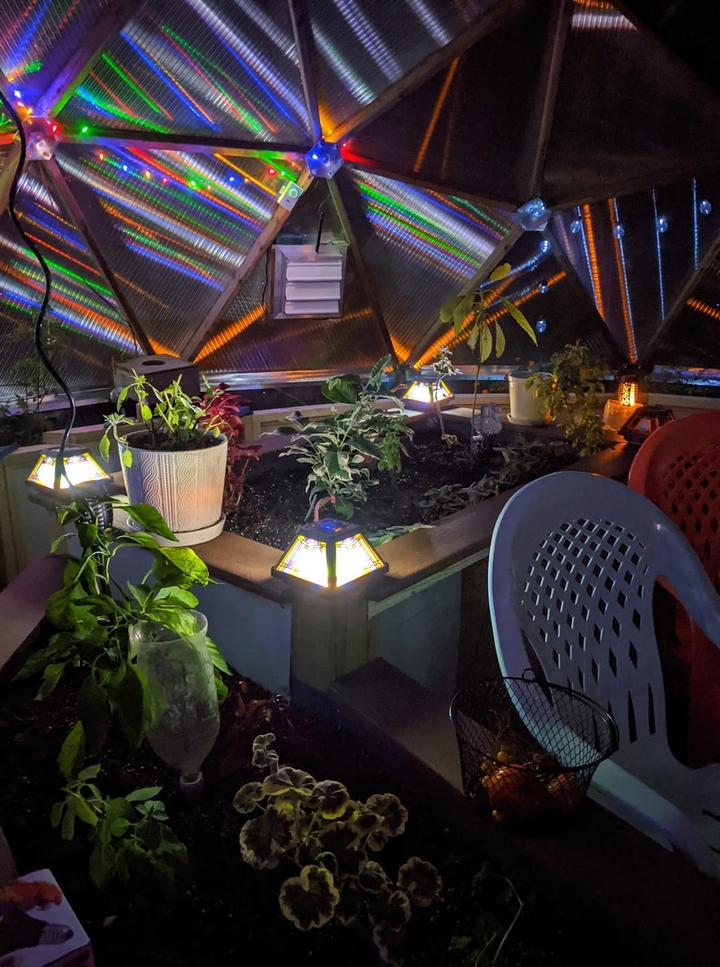 Inside the beautiful Greenhouse