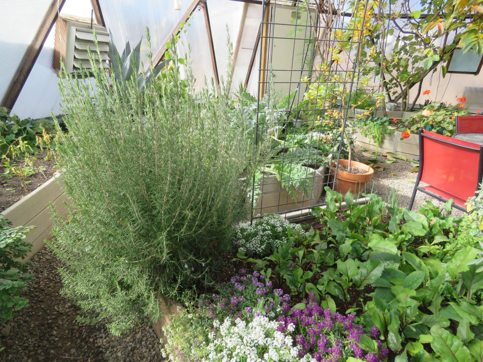 2015 Growing Spaces Articles Archive image