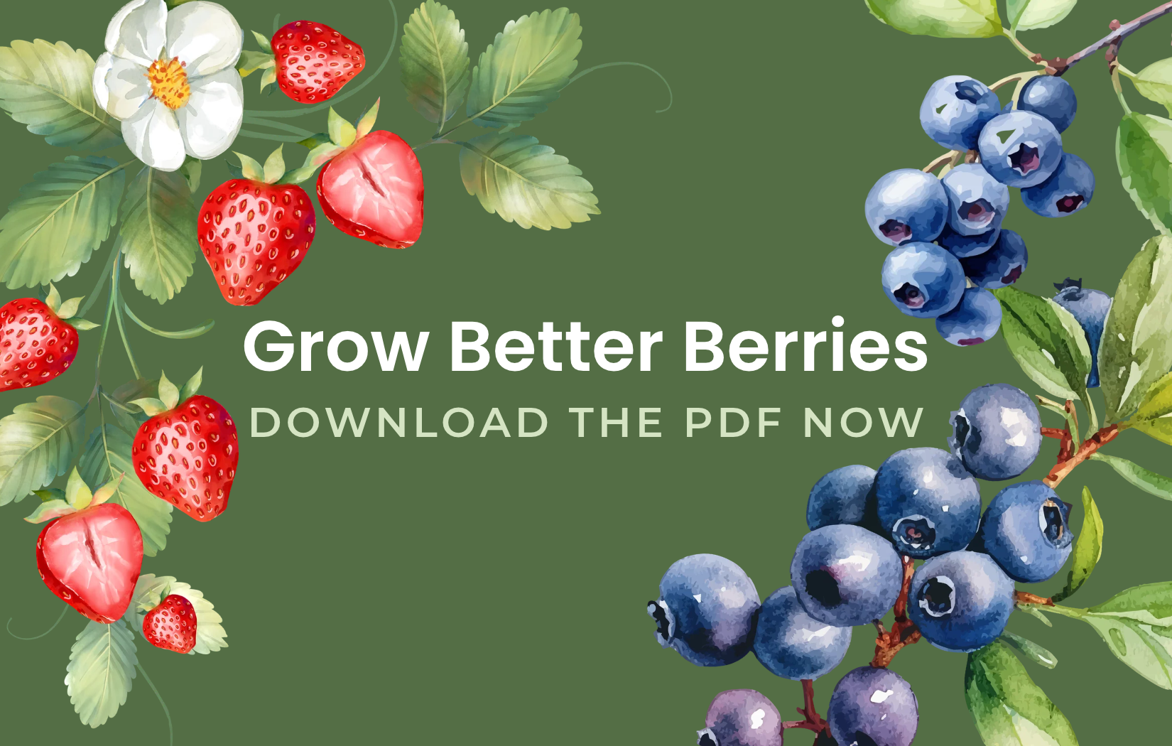 Grow better berries download the PDFS now
