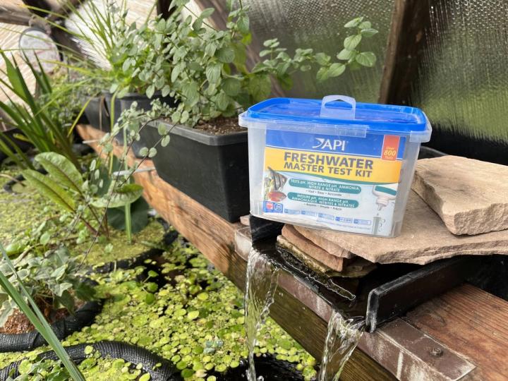 API Freshwater master test kit resting on a flagstone covered water feature in a Growing Dome pond filled with floating plants