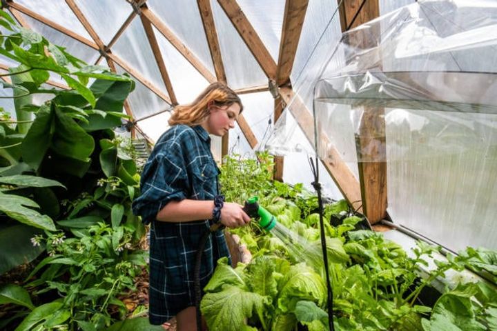 watering in biodome greenhouse