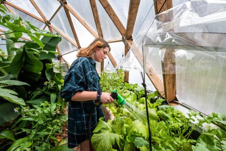 watering in biodome greenhouse