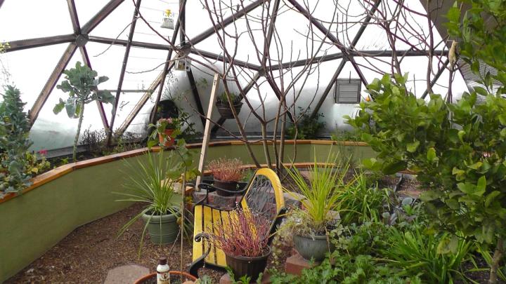 a winter garden in a greenhosue with a bench to relax on