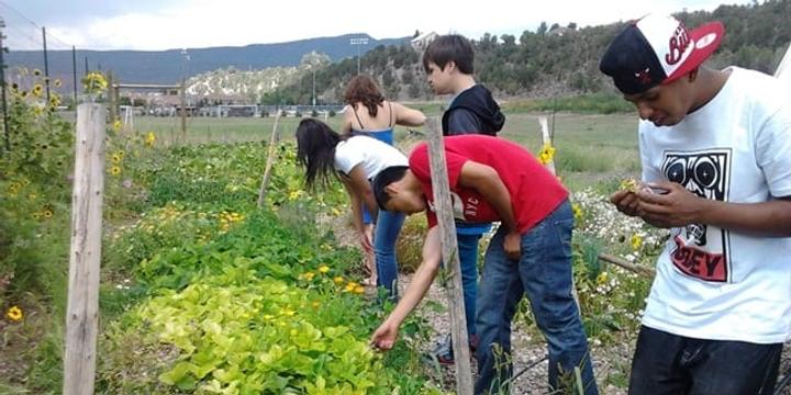 Young people working in a Community Garden