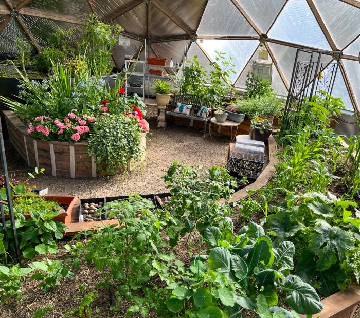 inside a 42 foot growing dome greenhouse there are raised beds and benches for seed starting and for people to relax
