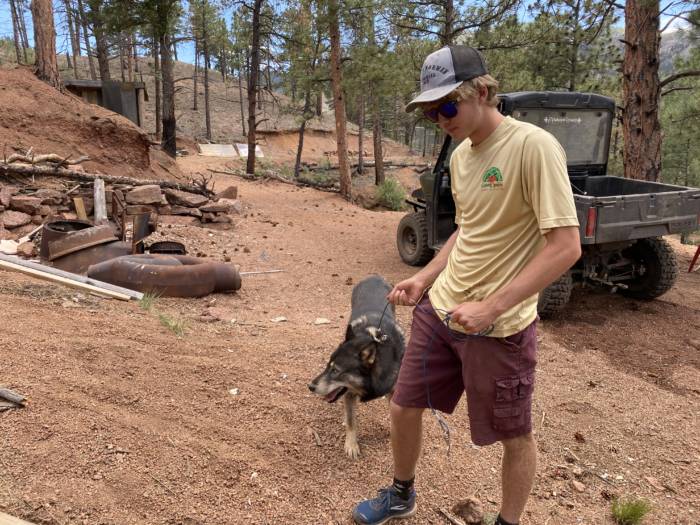 Growing Spaces employee walking a wolf
