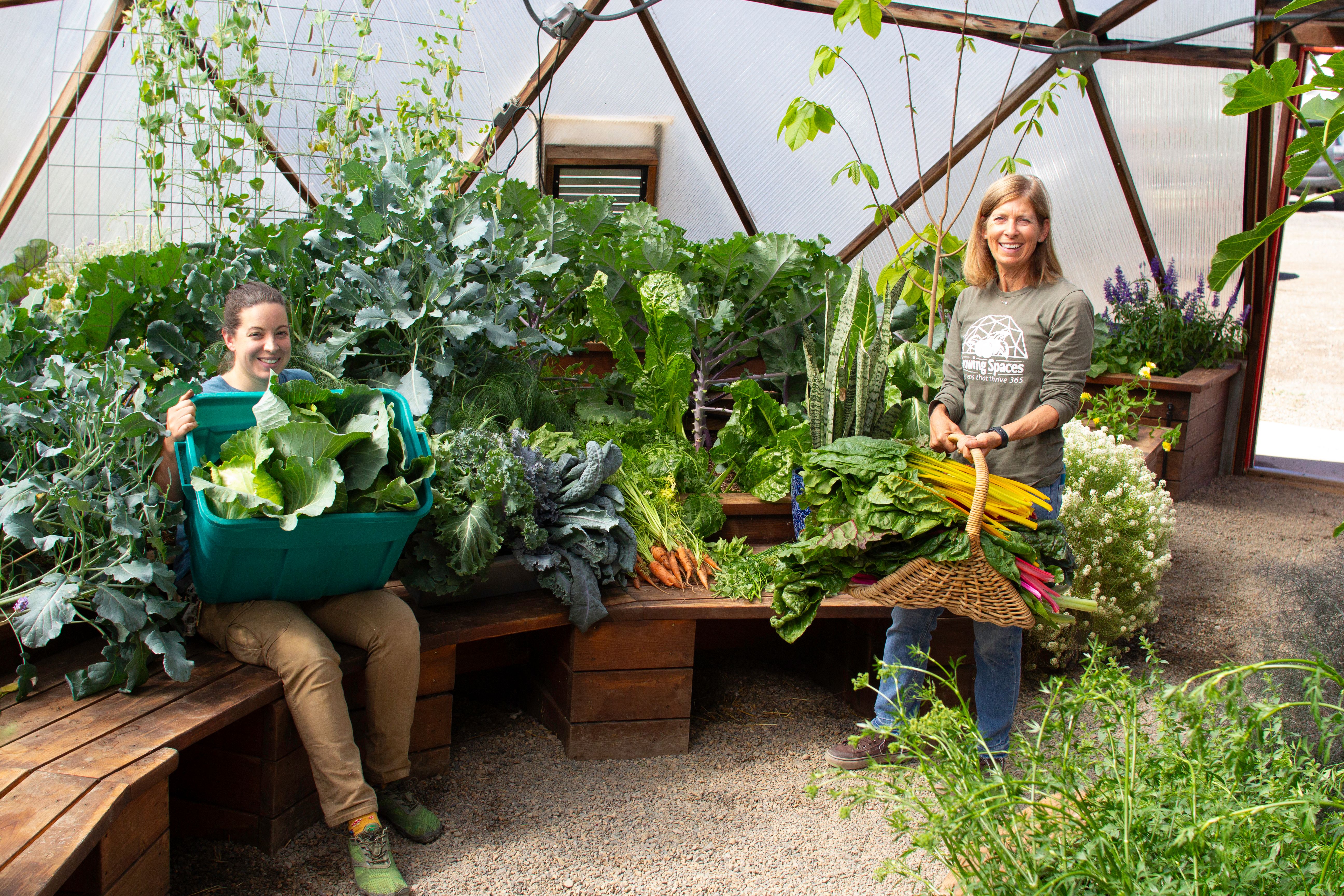 two women surrounded by a large vegetable garden harvest in a 42 foot diameter growing dome greenhouse