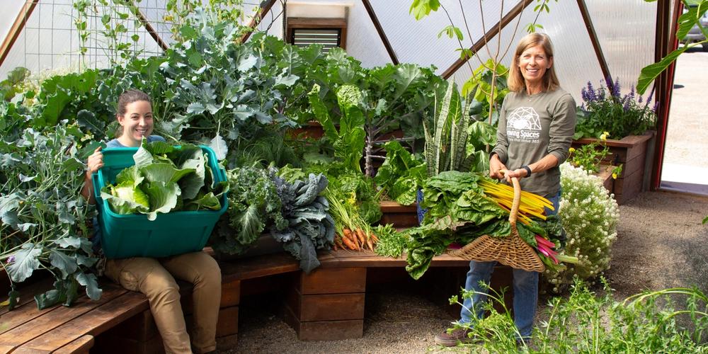 two women surrounded by a large vegetable garden harvest in a 42 foot diameter growing dome greenhouse