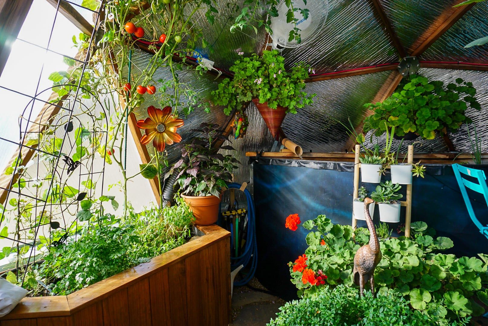 custom tank painting in greenhouse