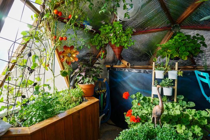 custom tank painting in greenhouse
