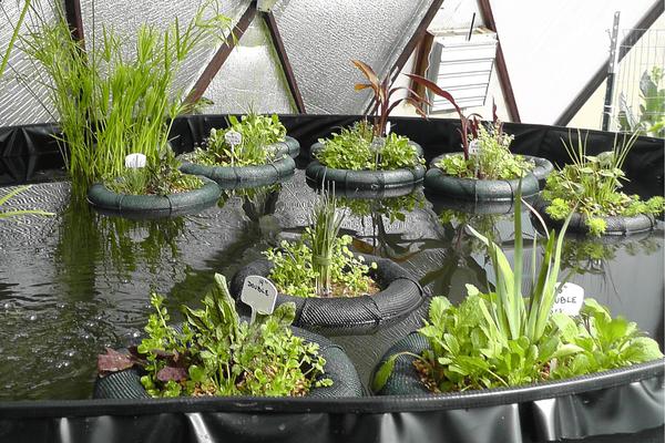Pond Supplies & Liners image