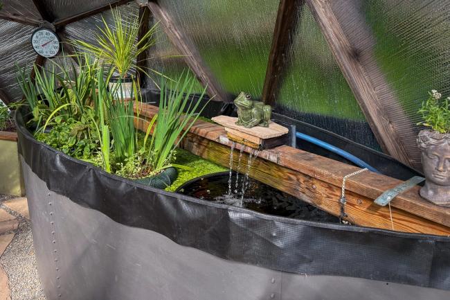 Growing Dome thermal mass pond with pond plants