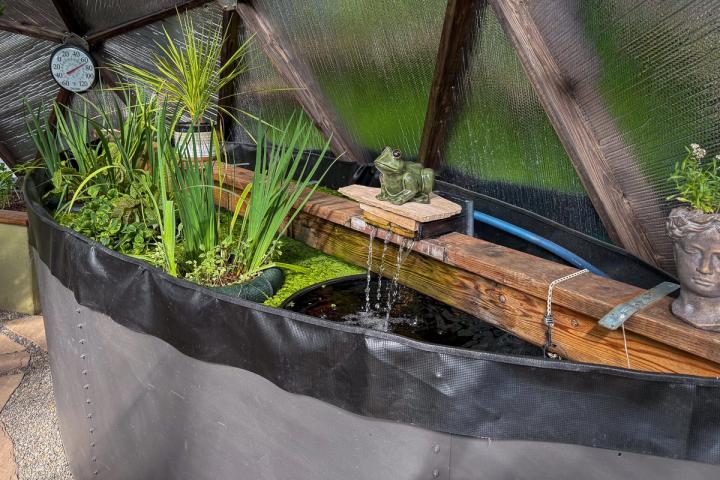 Pond with grey sheet metal walls filled with water and green aquatic plants. A water feature in the foreground has a green frog statue resting on decorative flagstone.